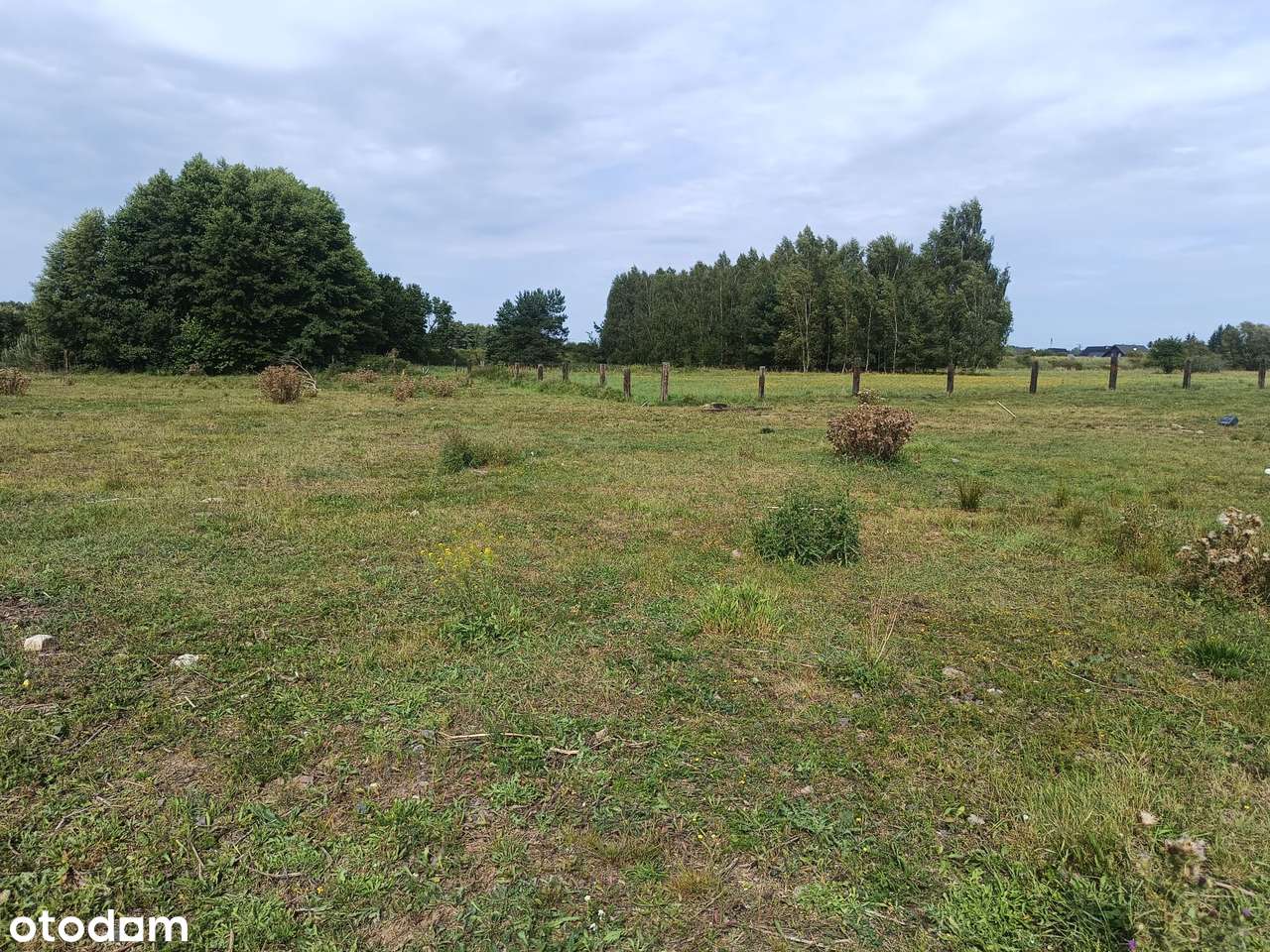 Piękna działka pod zabudowę nad Iną Stargard-Lubowo - Pełny obrazek: 3/6