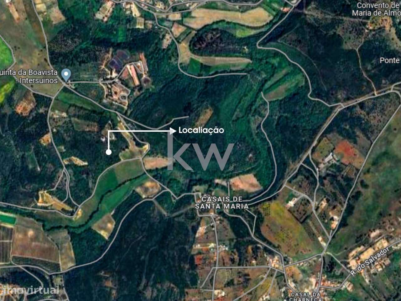 Almoster : Terreno Agrícola - Grande imagem: 4/8