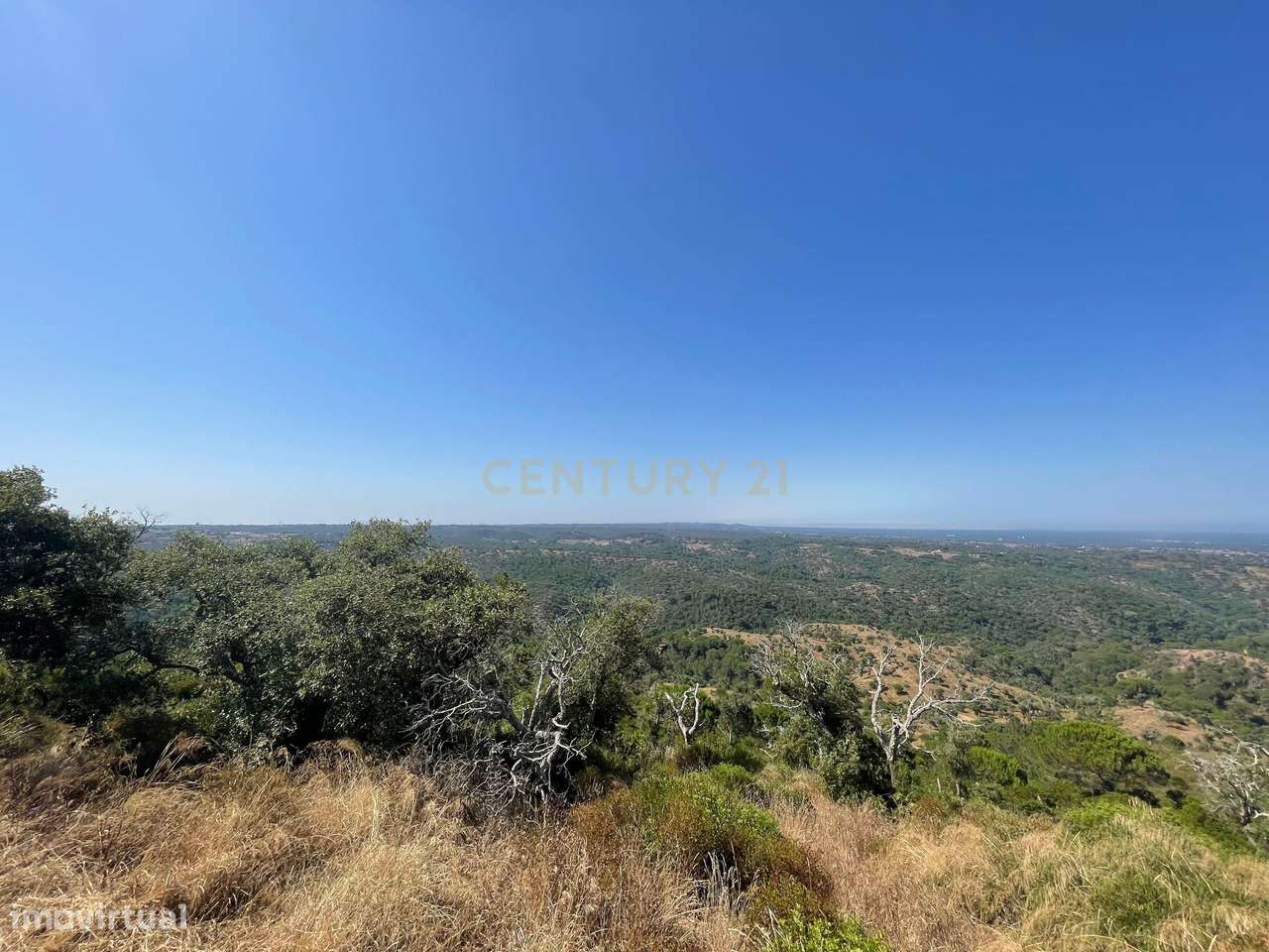 Terreno com 50 Ha , com vista fantástica em Melides - Grande imagem: 4/6