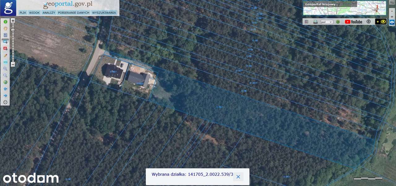 Działka rekreacyjna z lasem Siwianka - Pełny obrazek: 4/5