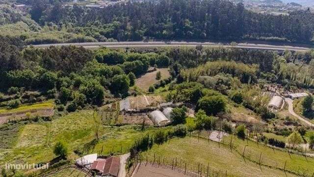 Quinta Exclusiva em Abação – Refúgio com 14.000 m²-31