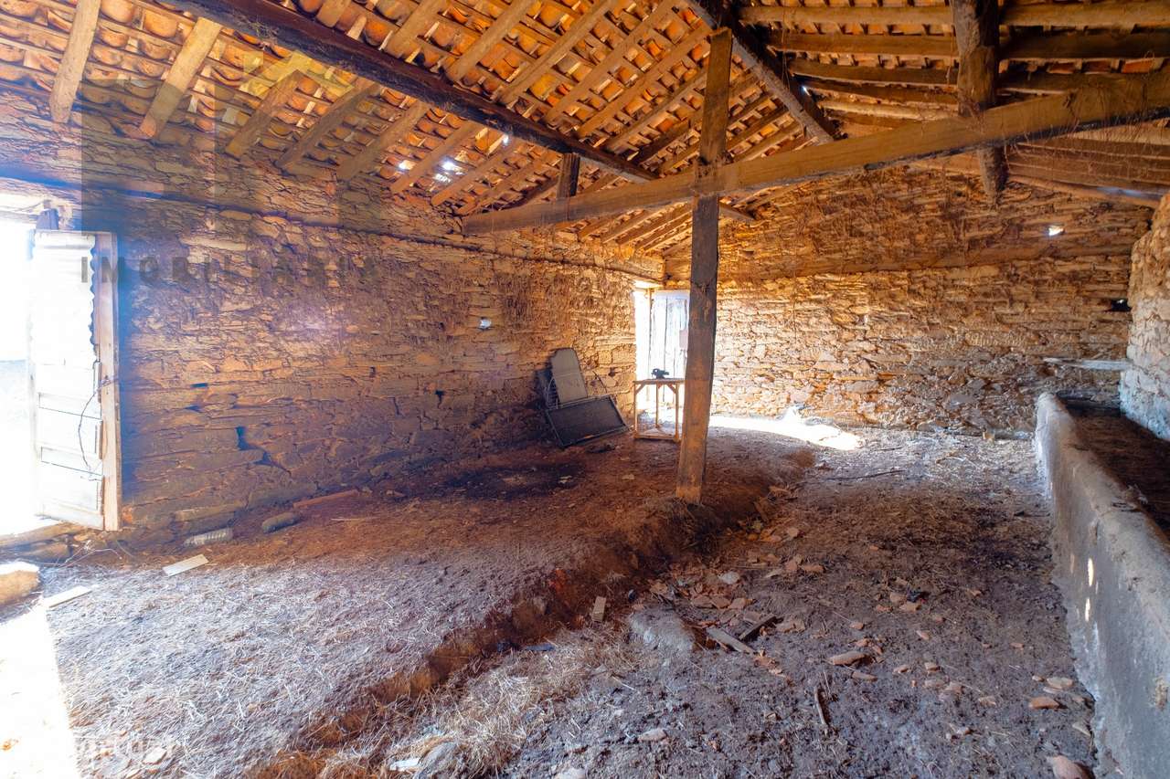 Quintinha  Venda em Sarzedas,Castelo Branco-6
