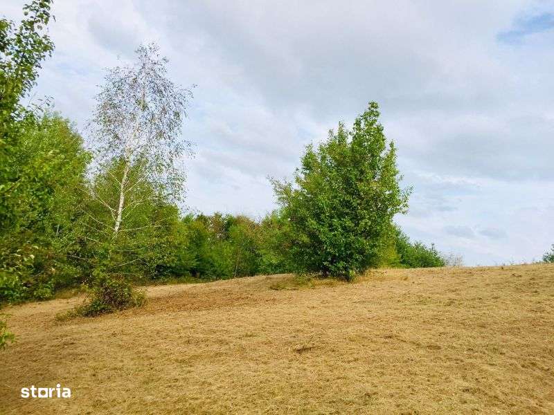 Vand Teren in Sinteu - Imagine principală: 4/5