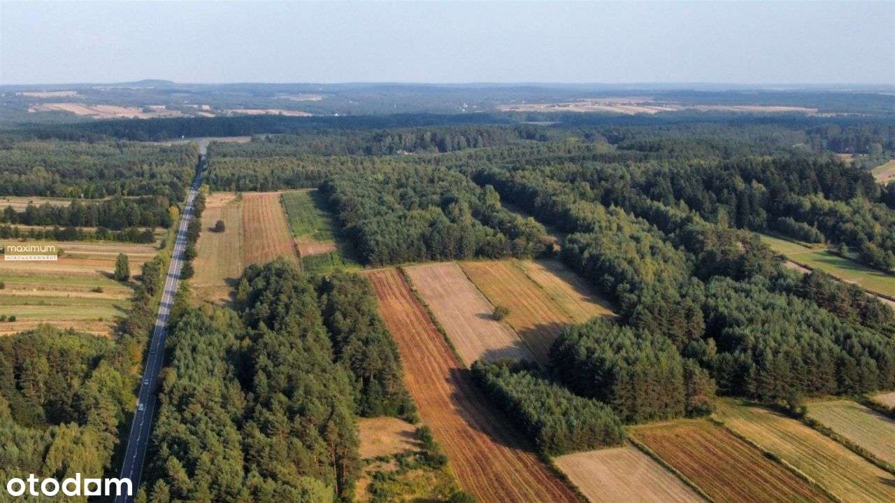 Działki rolne 2,05 ha i leśna 0,43 ha | Długi Kąt - Pełny obrazek: 5/7