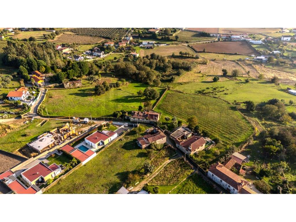 Quinta com Casas - Braga-Barcelos - Grande imagem: 5/16