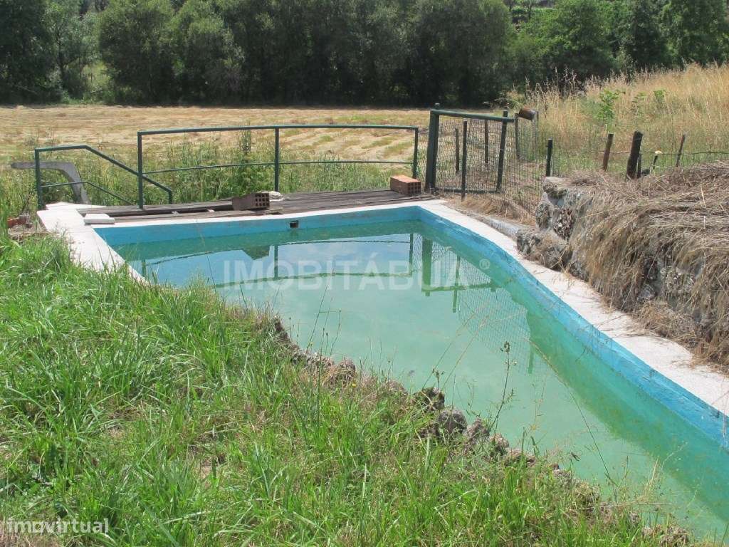 Quinta de Mirtilos com mais de 3 Hectares, localizada perto de Tondela-8