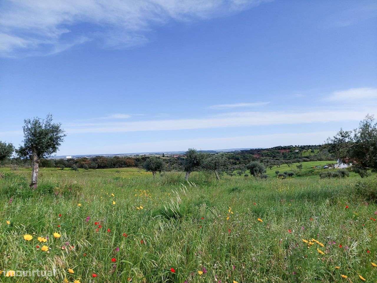 Terreno de 14.020m2 com Ruína Inserida - Grande imagem: 2/8