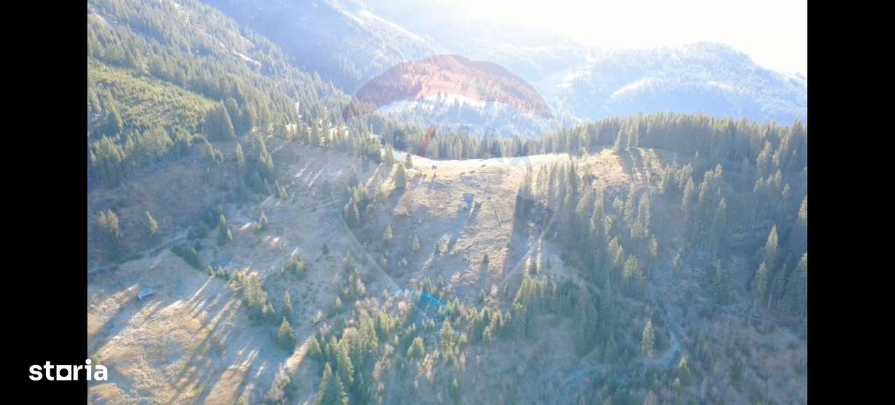 Teren 31,461mp Panaci / Prelungirea Ialovita-1