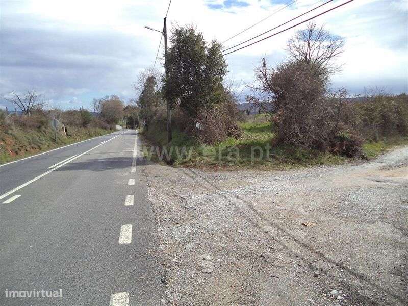 Terreno Rústico / Fundão, Vales Pêro Viseu - Grande imagem: 2/3