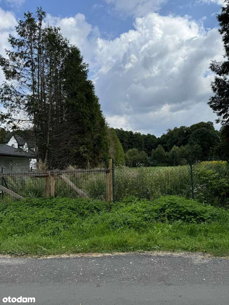 Działa Mała Nieszawka, Toruń, Wielka Nieszawka, ul. Leśna - Pełny obrazek: 1/7