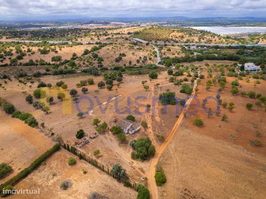 Quinta de 2,1 ha com Potencial para Turismo Rural- Guia Valverde-16