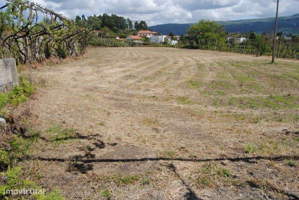 Magnifica quinta situada em Amarante - Grande imagem: 3/16