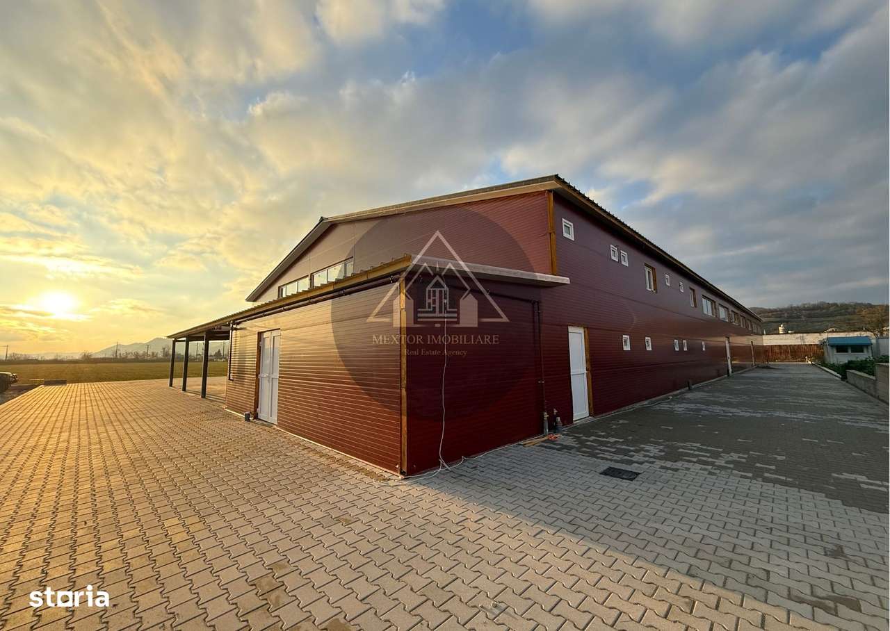 Hală de inchiriat, Medias - Imagine principală: 3/15