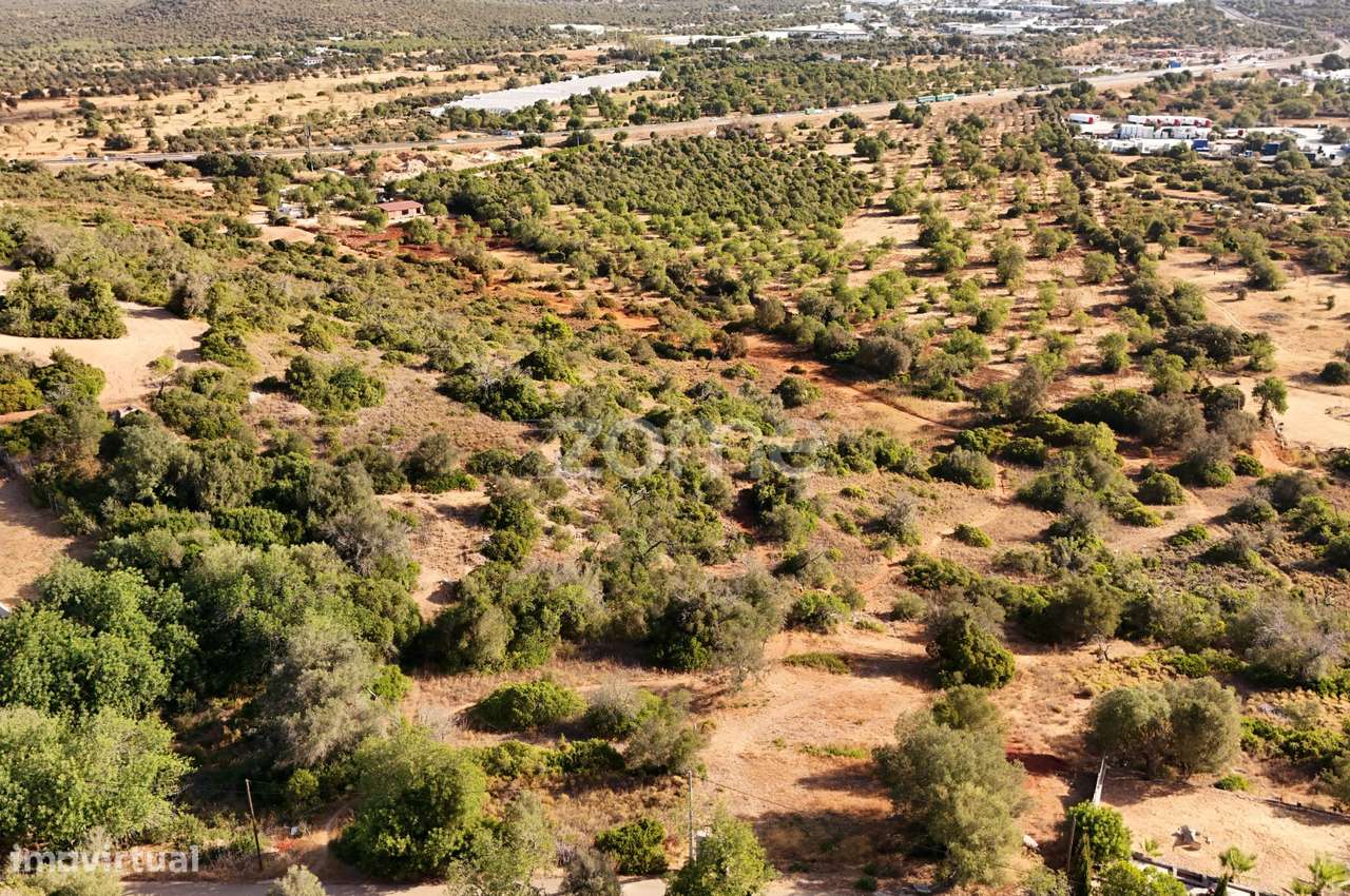 Terreno com ruína - Grande imagem: 4/9