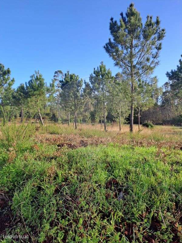 Terreno  para venda - Grande imagem: 4/10