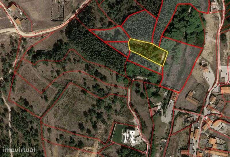 Terreno rustico com vista mar - Grande imagem: 4/4