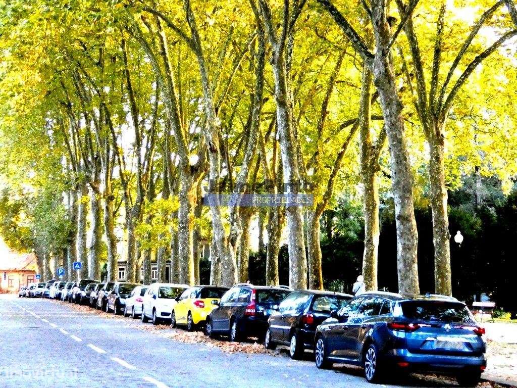 Terreno urbano, para venda, Porto - Paranhos - Grande imagem: 5/7