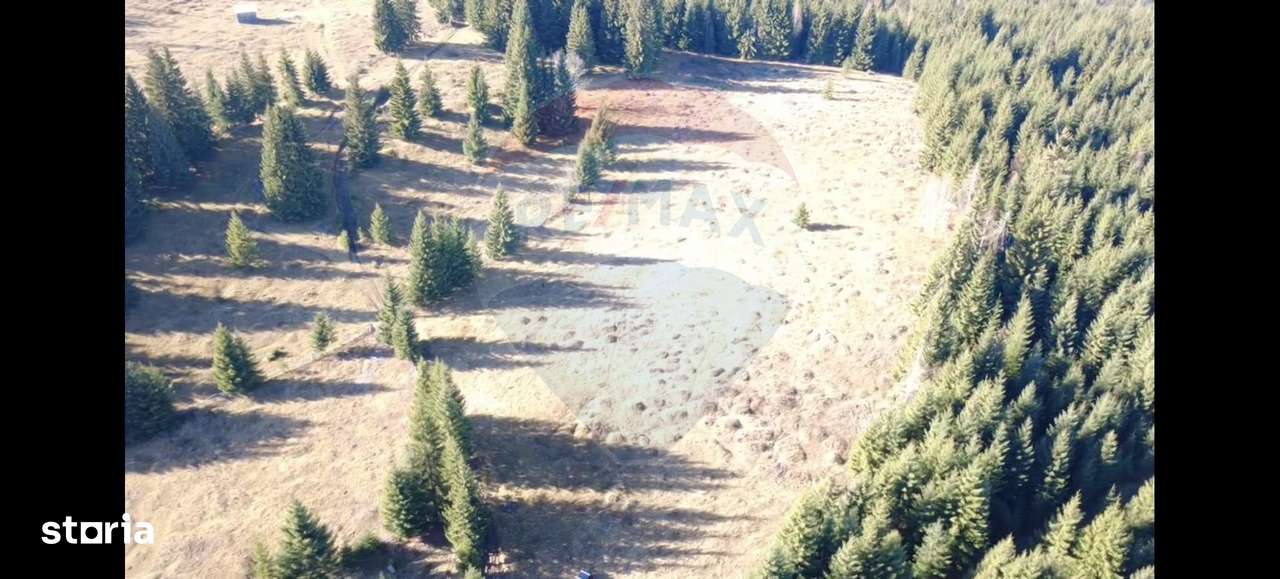 Teren 16,289mp Coverca / Drumul Bucinis-6