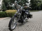 Harley-Davidson Softail Springer Classic - 18
