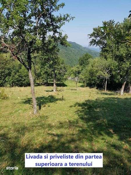 Teren Intravilan 6118mp + Extravilan 48175mp pentru orice investitii! - Imagine principală: 4/8