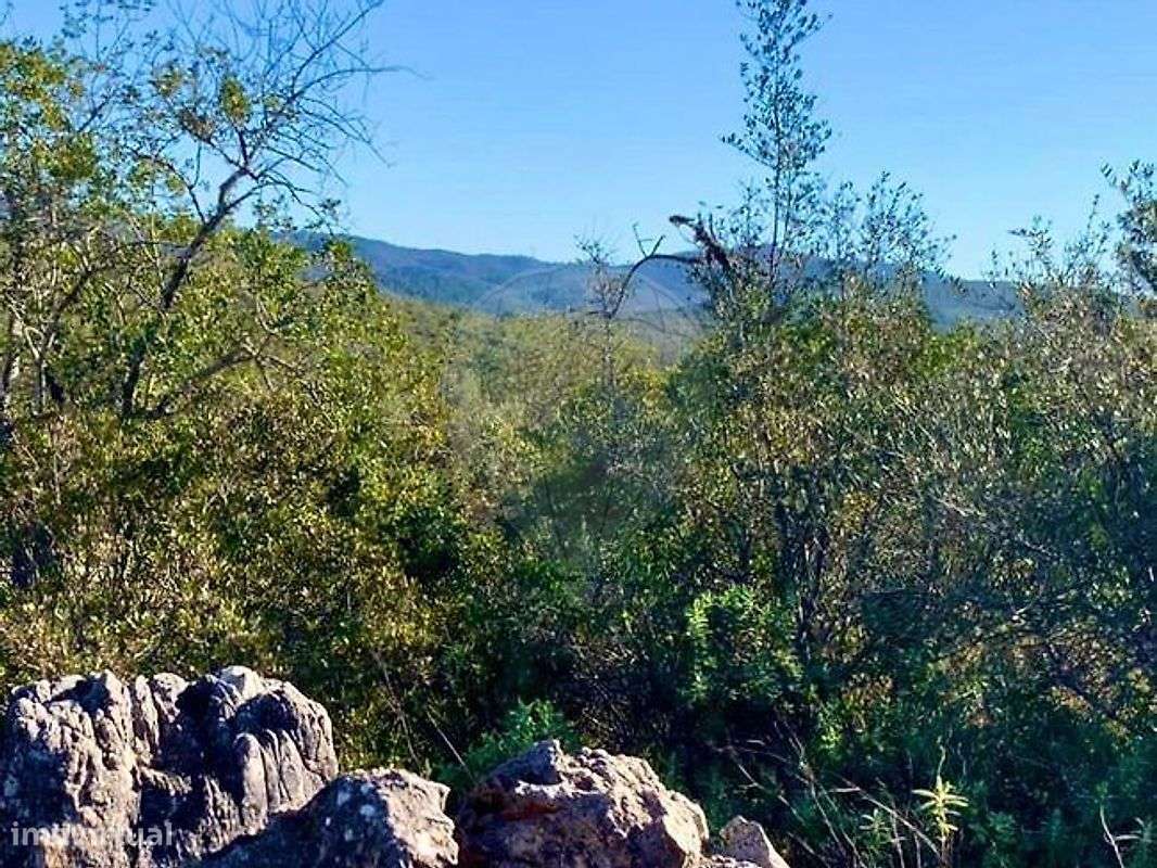 Terreno  para venda - Grande imagem: 4/8