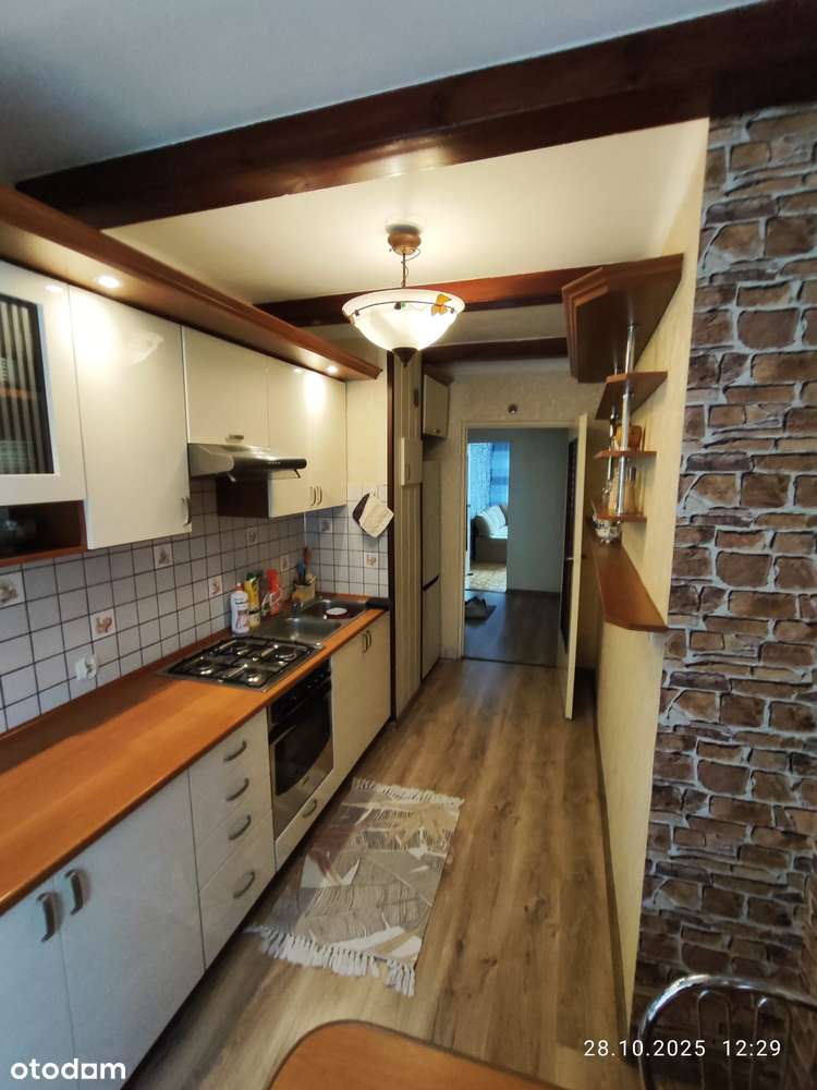 Dogodna lokalizacja. Przyjazne zwierzętom. - Pełny obrazek: 5/12