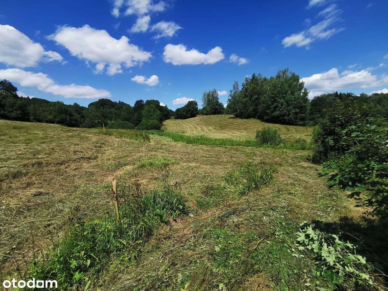 Działka z WZ 61 ar Uherce Mineralne Bieszczady - Pełny obrazek: 4/9