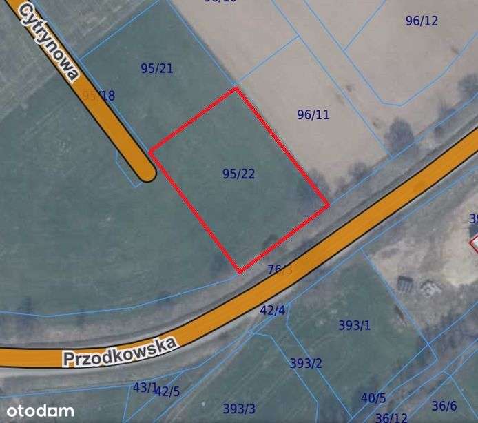 Działka budowlana Kobysewo ul. Cytrynowa - Pełny obrazek: 5/8