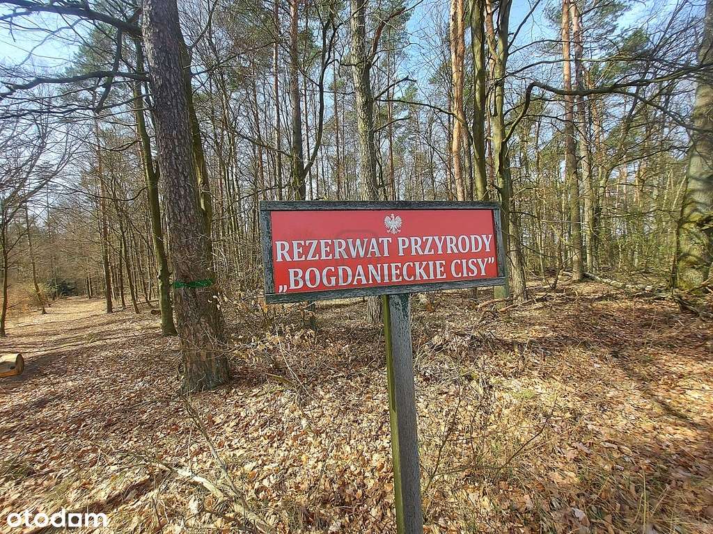 Działki na granicy Baczyna/Marwice miejscowy plan!-16