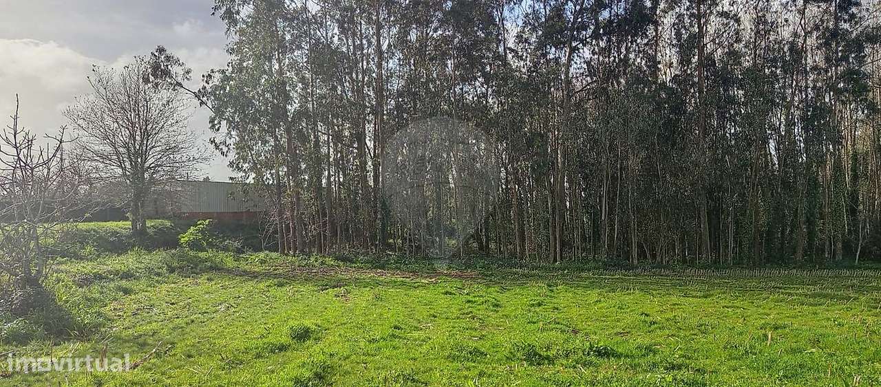 Terreno  para venda - Grande imagem: 4/6