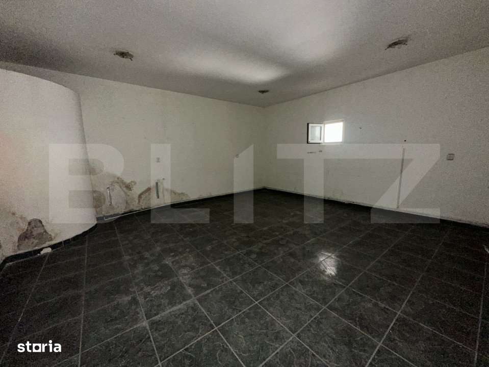 Spatiu comercial, 293 mp/129 mp, zona ultracentrala cu Vad - Imagine principală: 4/6