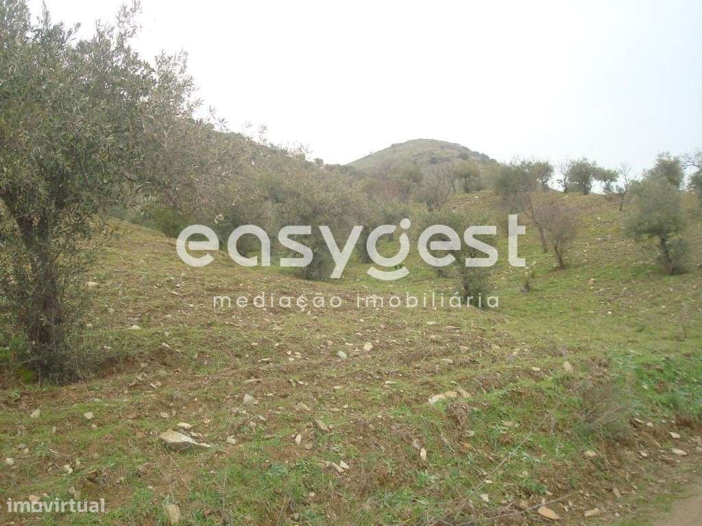 Terreno Rústico em Vila nova de Foz Côa. - Grande imagem: 4/11