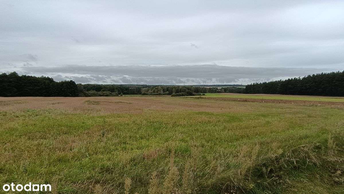 Ełganowo/Trąbki Wielkie - 10siedlisk o pow. 3200m2 - Pełny obrazek: 5/6