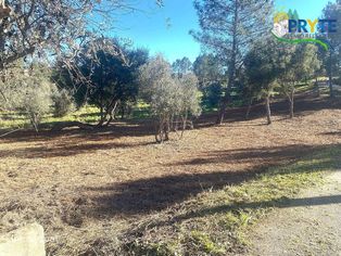 Terreno para construção situado em Fundada - Vila de Rei - Grande imagem: 4/13