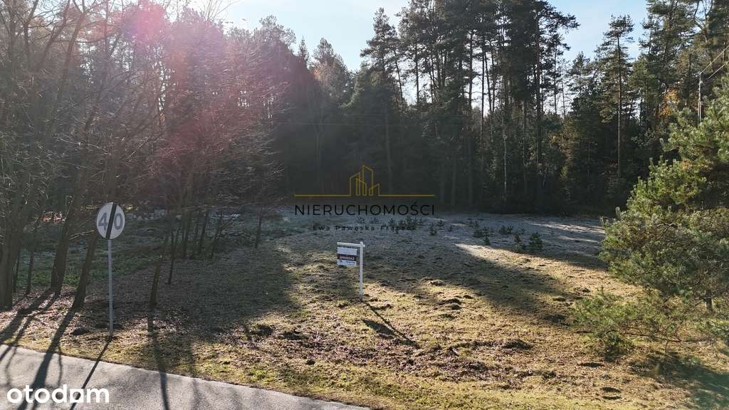 Roztocze- Stanisławów. Działka budowlana i leśna. - Pełny obrazek: 4/13