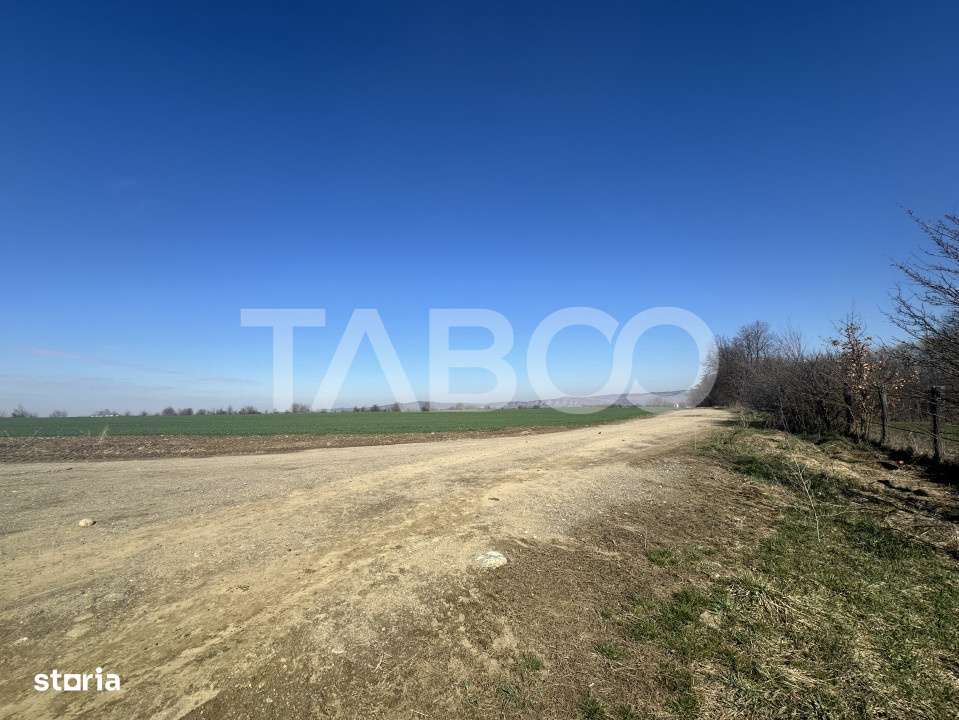 Teren intravilan 2000 mp cu utilitati in apropiere Comuna Dragus - Imagine principală: 4/4