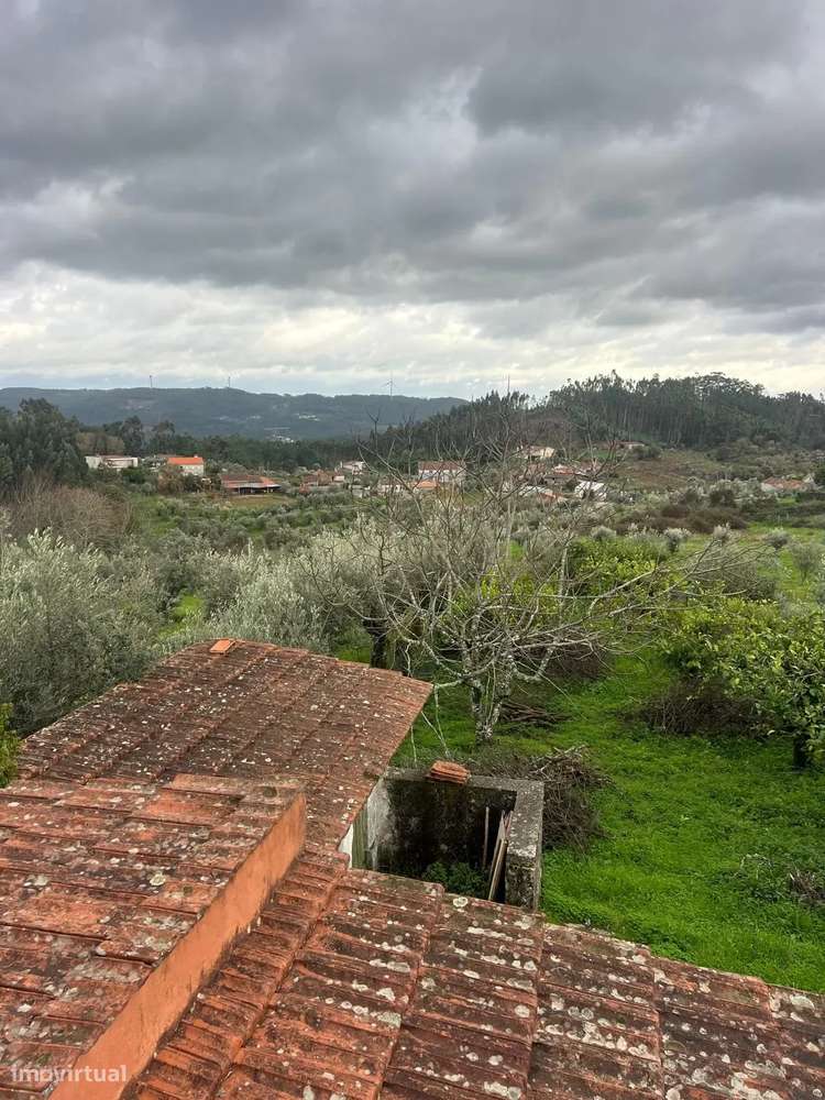 Moradia Renovada T3 com Terreno e Árvores de Fruto – Alvaiázere-4