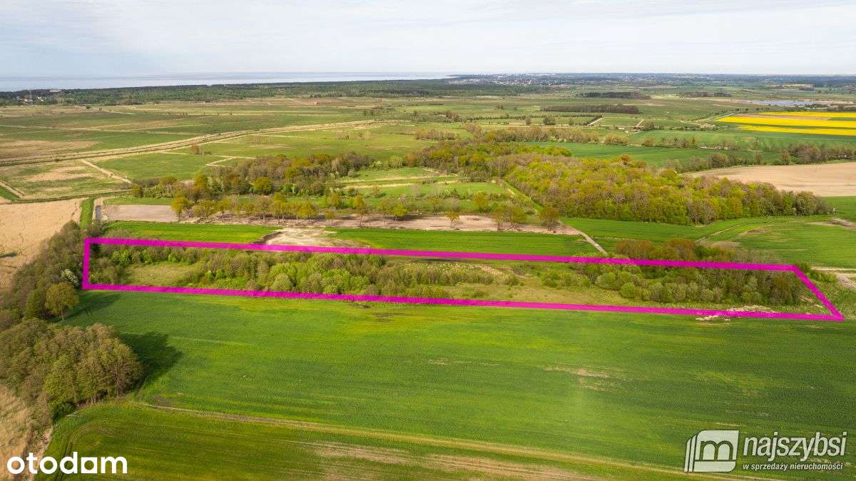 Dźwirzyno - działka 42 200 m2 nad jeziorem Resko - Pełny obrazek: 5/14