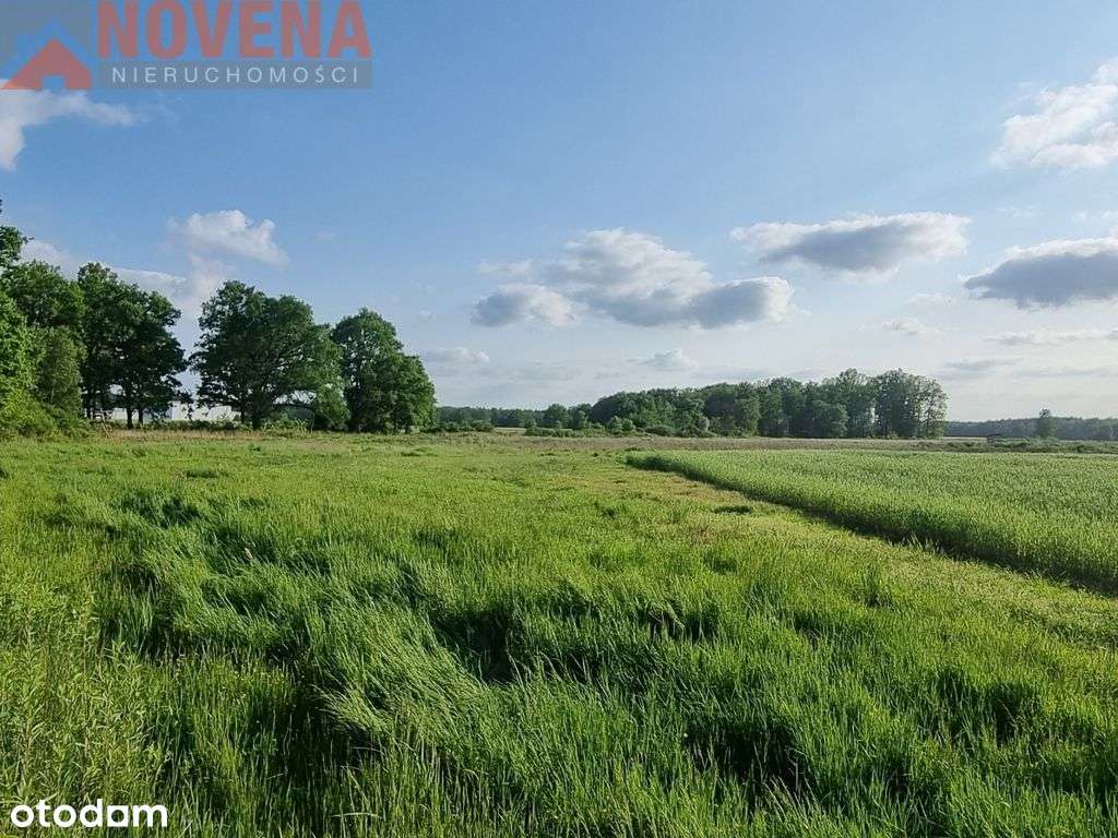 Teren aktywności gospodarczej/Mpzp - Pełny obrazek: 5/6