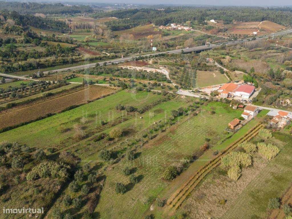 Terreno | Ventosa do Bairro, Mealhada-12
