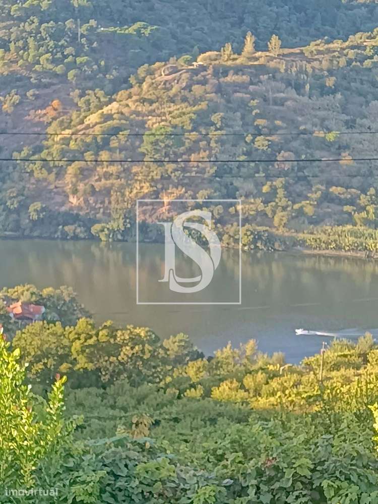 Terreno com Vista Rio Douro – Caldas de Aregos, Resende - Grande imagem: 2/2