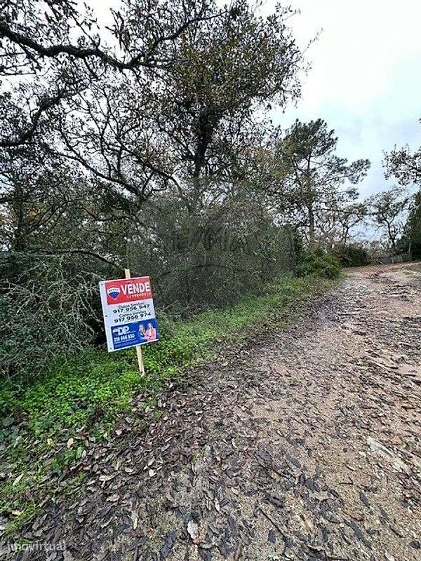 Terreno  para venda - Grande imagem: 4/6