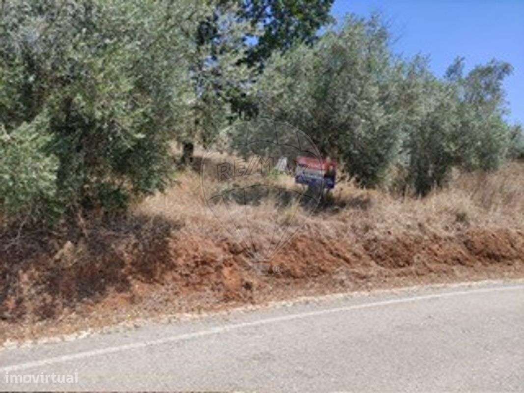 Terreno  para venda - Grande imagem: 5/7