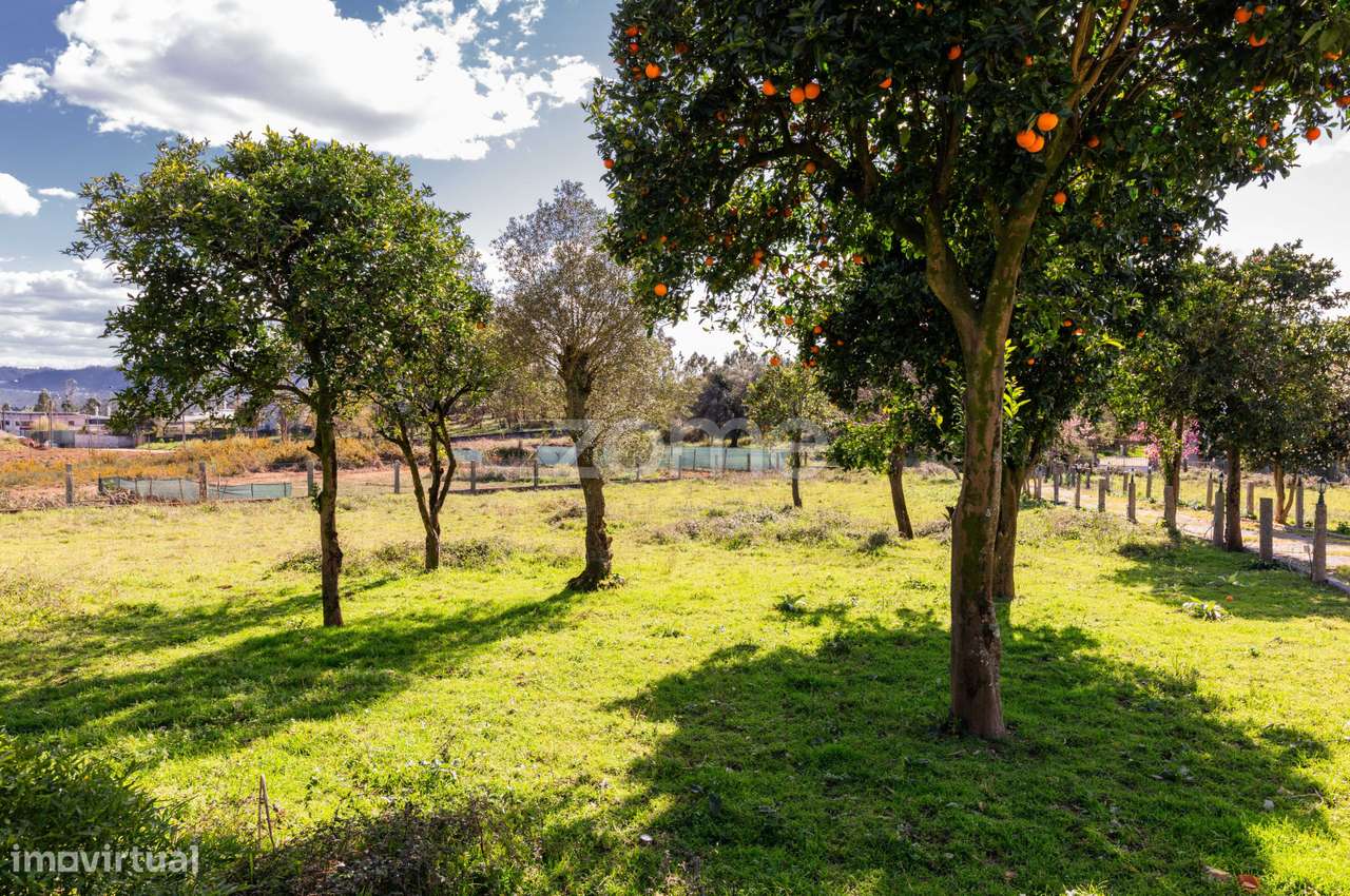 Moradia com Terreno de 3.270 m², a 10 Minutos do Centro de Braga - Grande imagem: 4/17