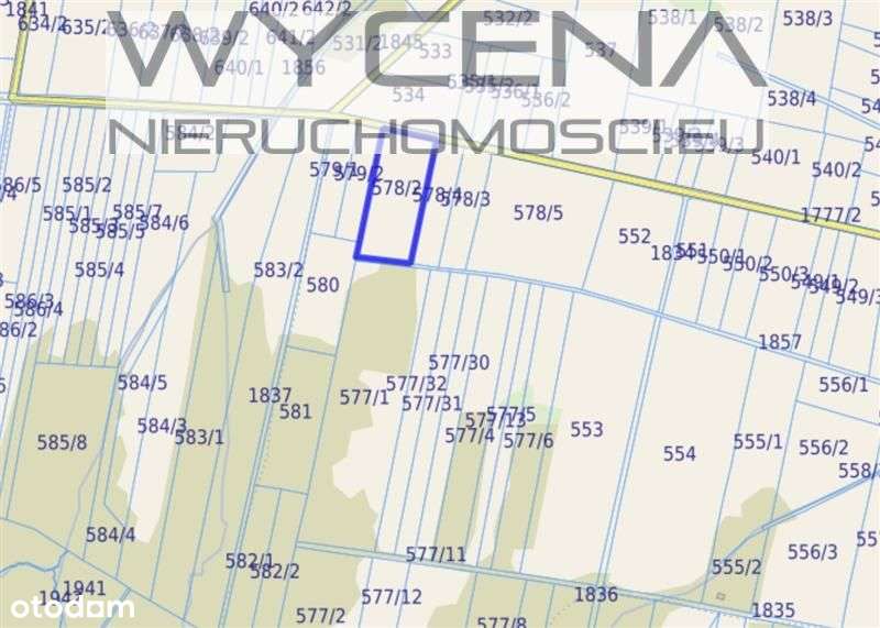 Działki rolne Pielgrzymka, gmina Osiek Jasielski - Pełny obrazek: 4/5