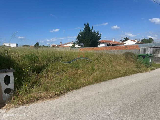 Terreno - Carreira-1