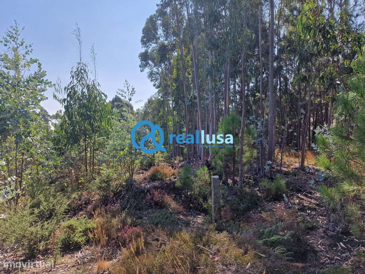 Terreno com excelente exposição solar em Sandim, Vila Nova de Gaia-5