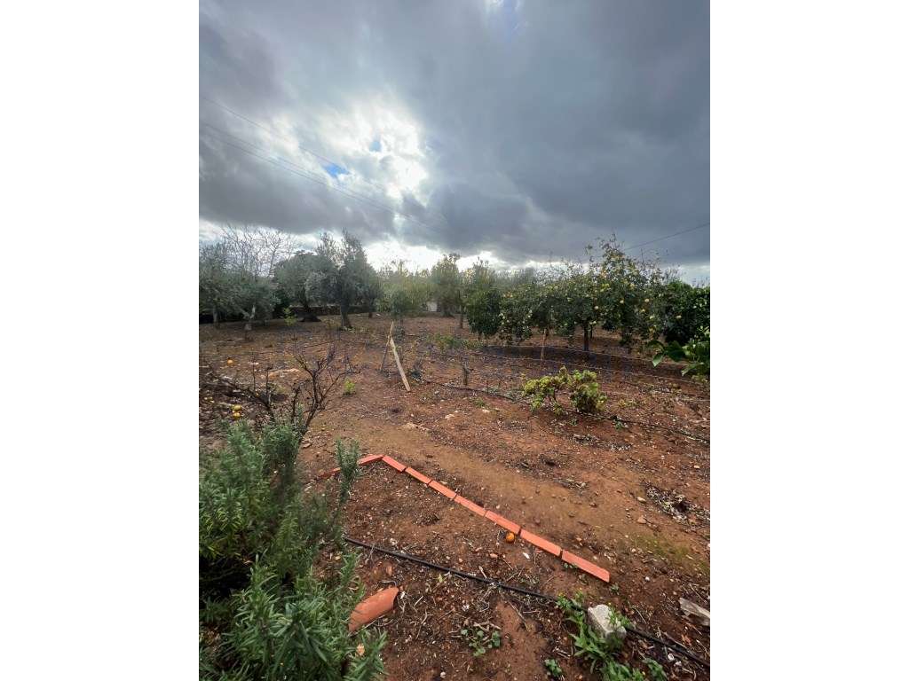 Vende-se Moradia T3 c/ Piscina em Vila Boim-34