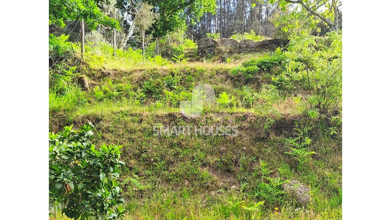 Quintinha em Vila do Mato-25