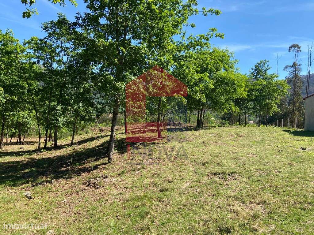 Terreno Agrícola, Valbom São Pedro - Grande imagem: 4/12